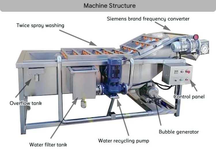 Factory Price Strawberry Mango Bubble Cleaning Drying Line