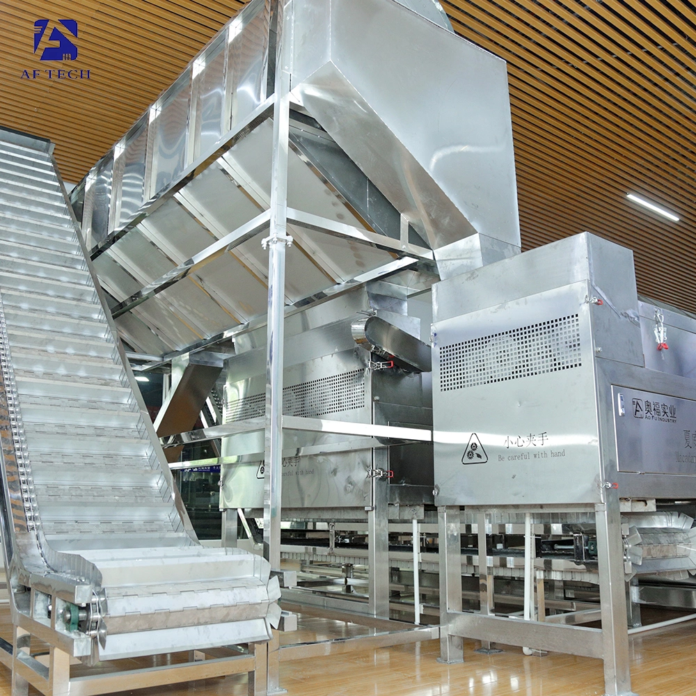 Automatic Green Hawaiian Fruit Shell Fruit Separator Cleaning Drying Processing Line