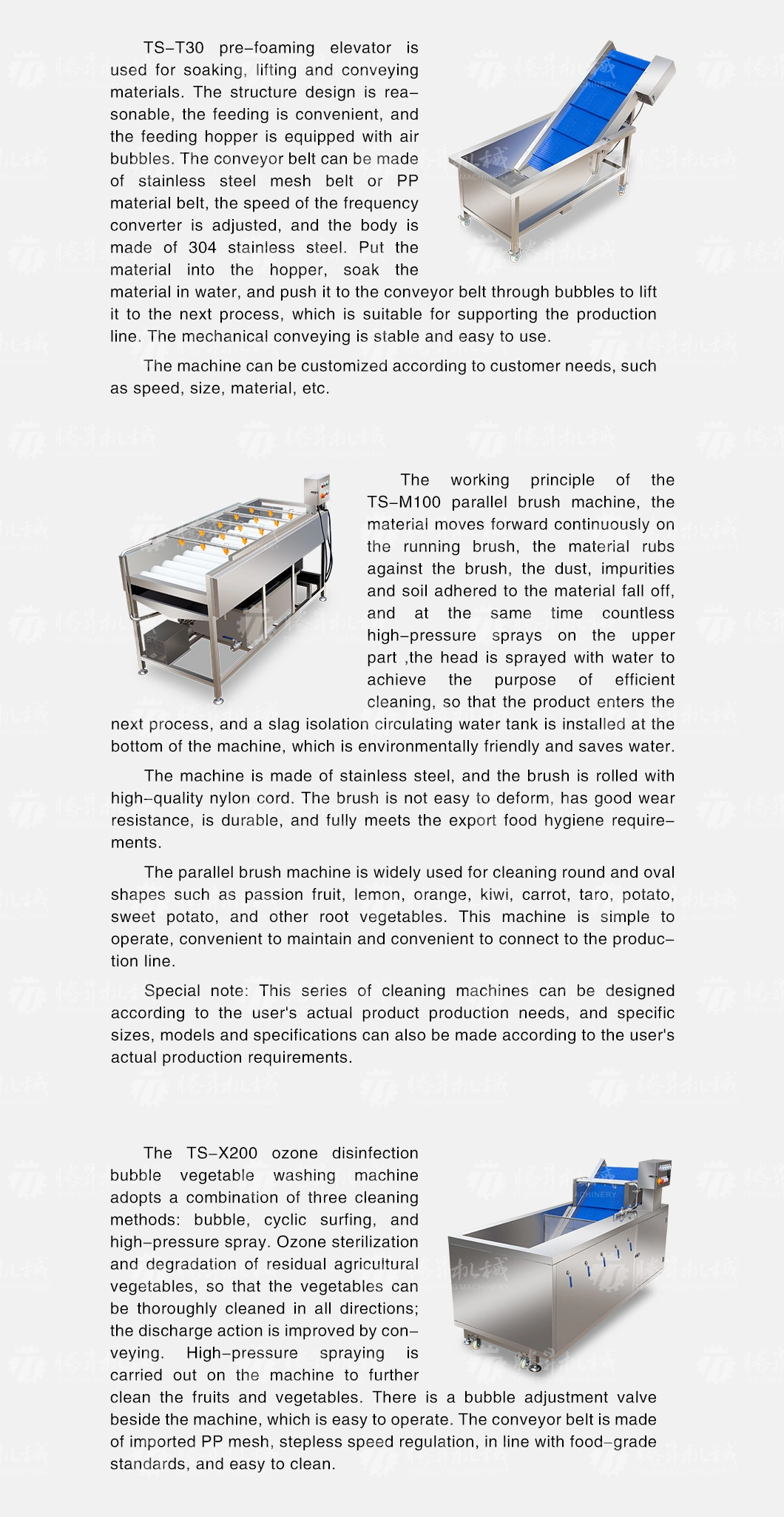 Automatic Fruit and Vegetable Wool Roller Bubble Cleaning and Drying Production Line