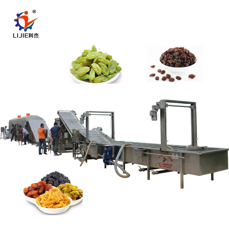 Complete Raisin Mulberry Cleaning Grading Washing Drying Production Machine Line