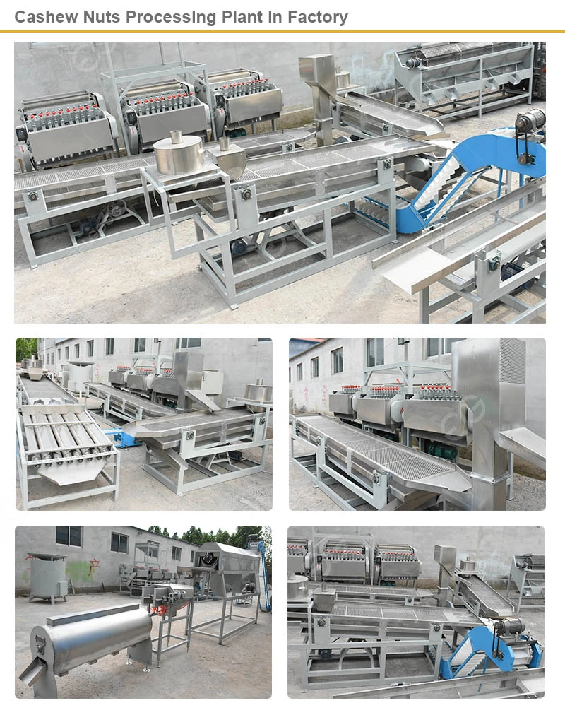 2022 Automatic Cashew Nut Cutting and Processing Factory Machine