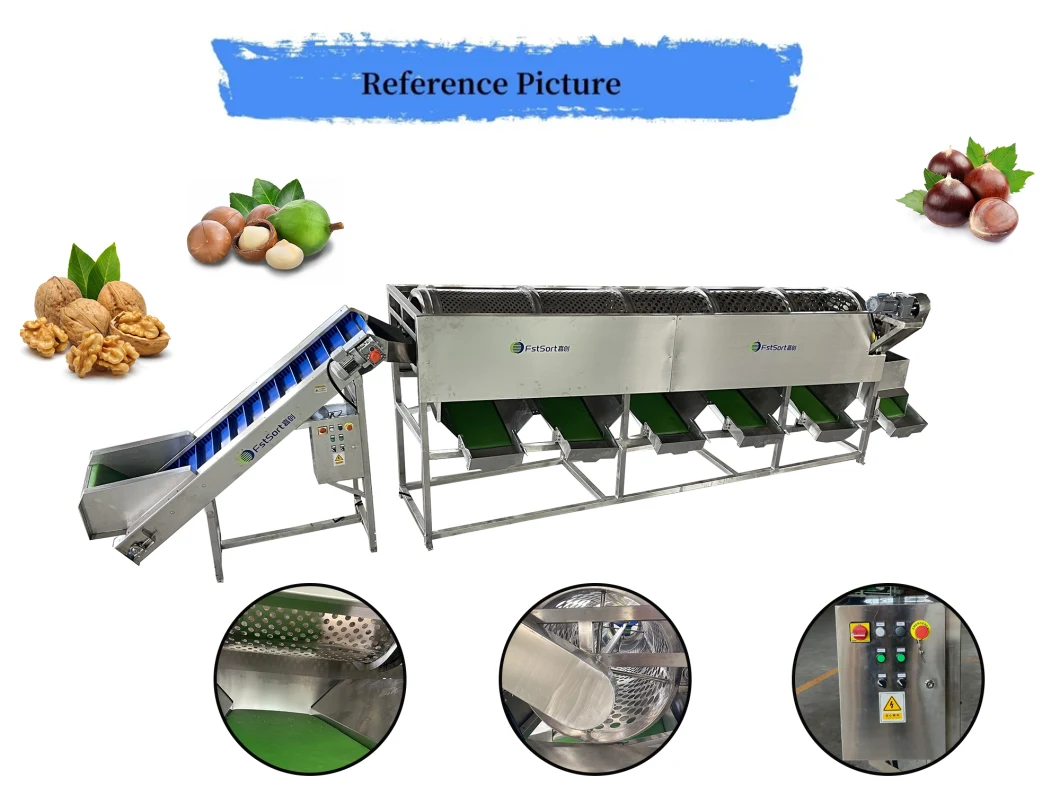 Macadamia Nut Sorter Walnut Sizer Macadamia Nut Sorting Machine Walnut Sorting Machine Nut Processing Equipment Chestnut Grader Chestnut Sizing Machine