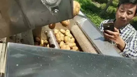 Máquina automática para hacer papas fritas Equipo para hacer papas fritas Máquina freidora continua