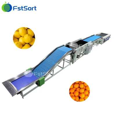 Línea de producción industrial de máquinas de clasificación y clasificación de limpieza y secado al aire de cítricos de tomate y mandarina de frutas y verduras a gran escala